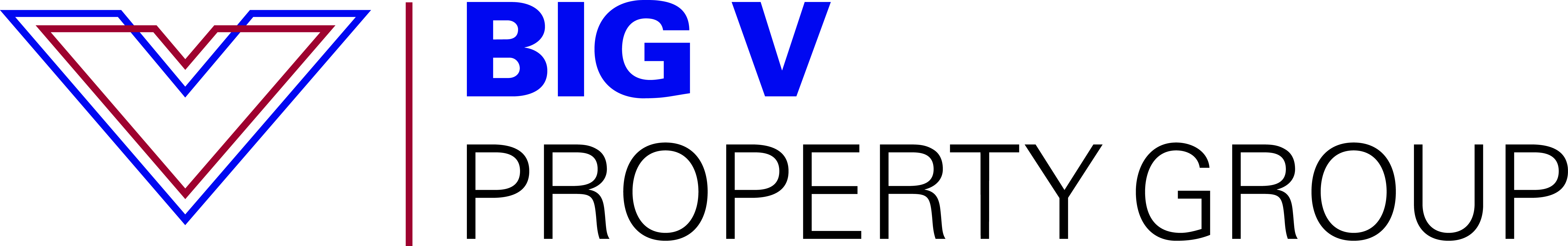 Big V Property Group