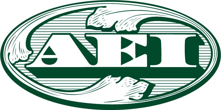 AEI Capital Corporation