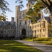 ivy-league